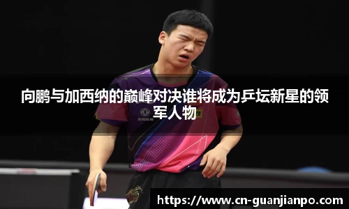 向鹏与加西纳的巅峰对决谁将成为乒坛新星的领军人物