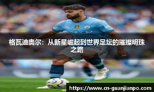 格瓦迪奥尔：从新星崛起到世界足坛的璀璨明珠之路