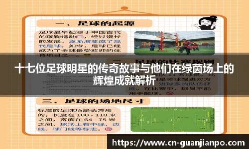 十七位足球明星的传奇故事与他们在绿茵场上的辉煌成就解析